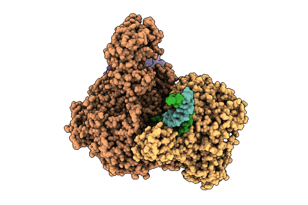9BGK image