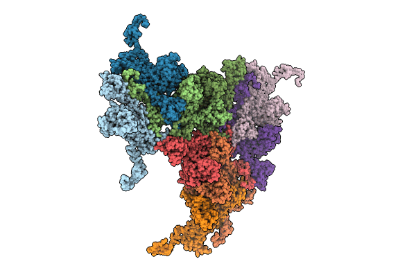 9BGN image