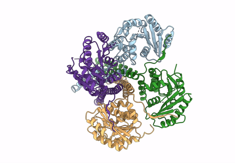 9BHC image