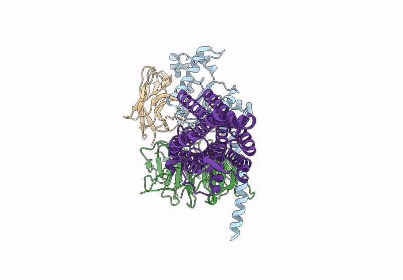 9BHL image