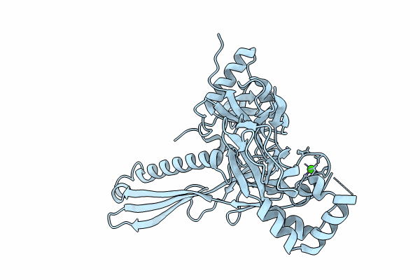 9BHV image