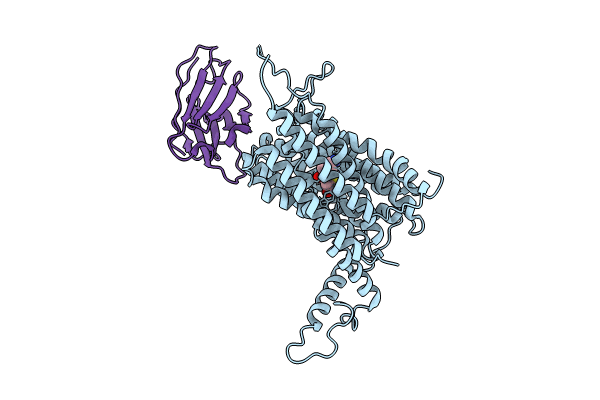 9BIS image