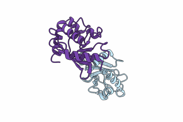 9BIV image