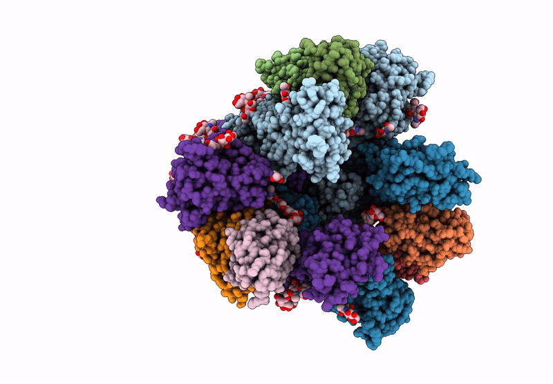 9BJ3 image