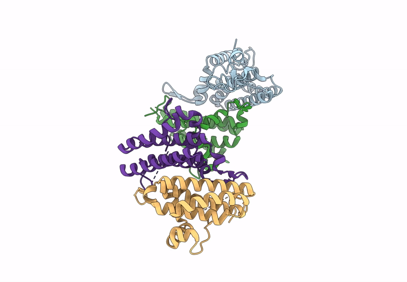 9BJ6 image