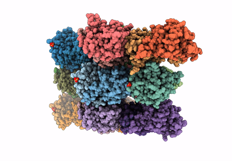 9BJ7 image