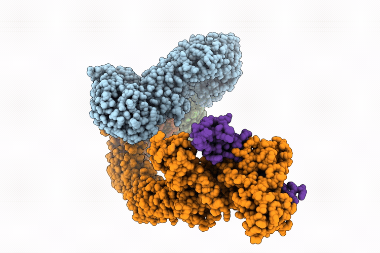 9BJ8 image