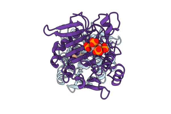9BJA image