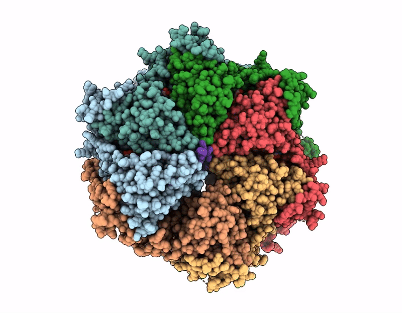 9BJI image