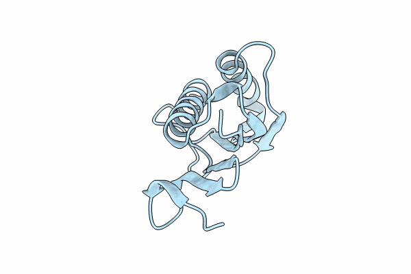 9BJV image