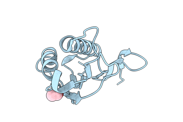 9BKH image