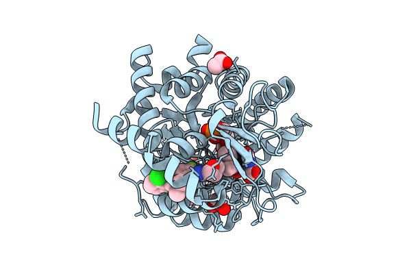 9BKM image