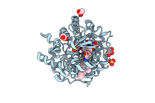 9BKN image