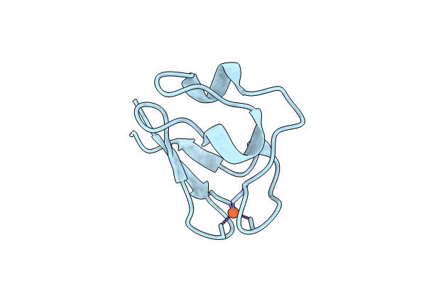 9BKP image