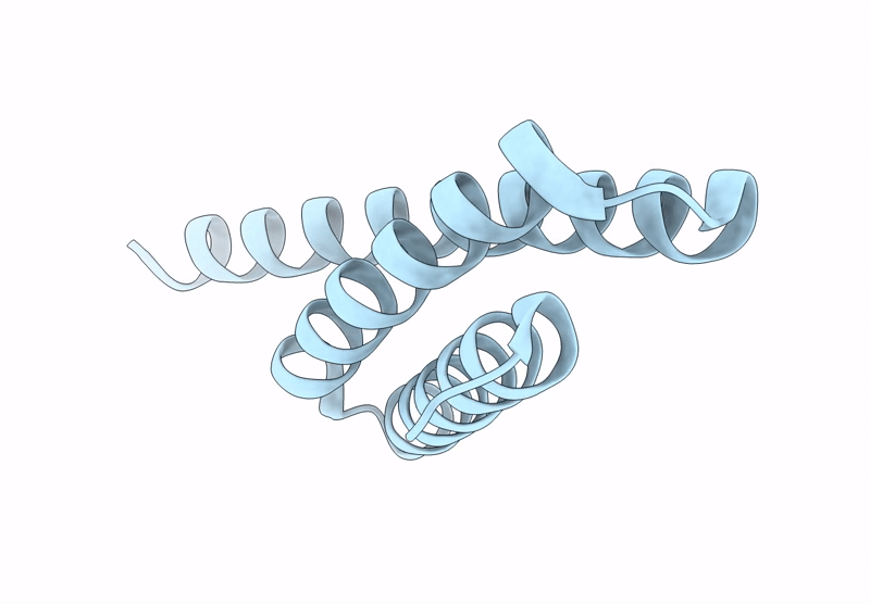 9BL8 image