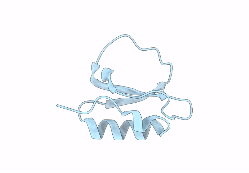 9BLJ image