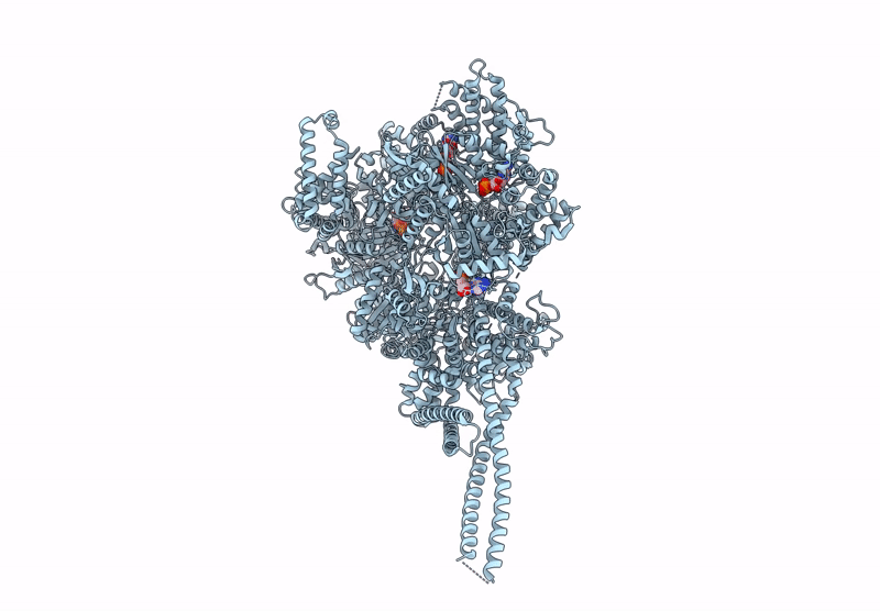 9BM1 image