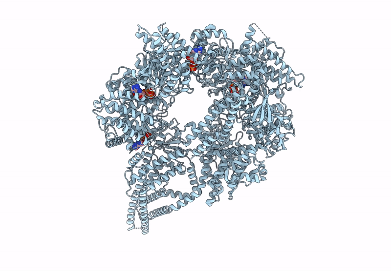 9BM7 image
