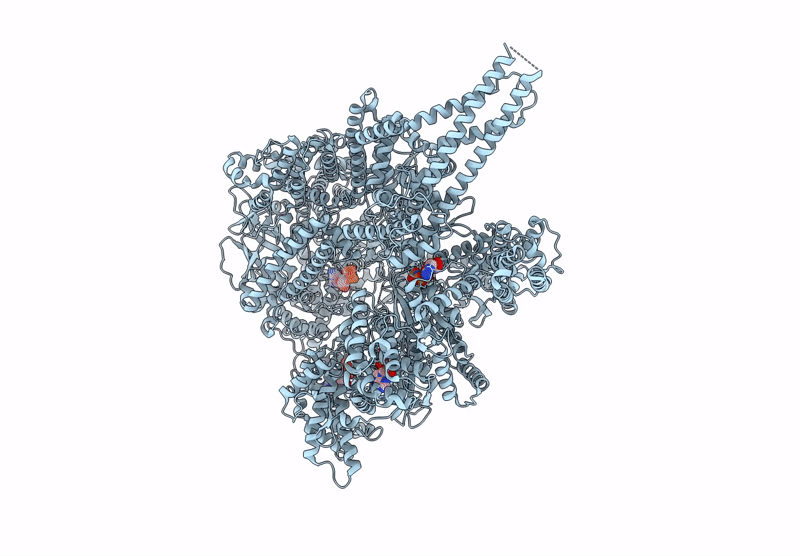 9BMD image