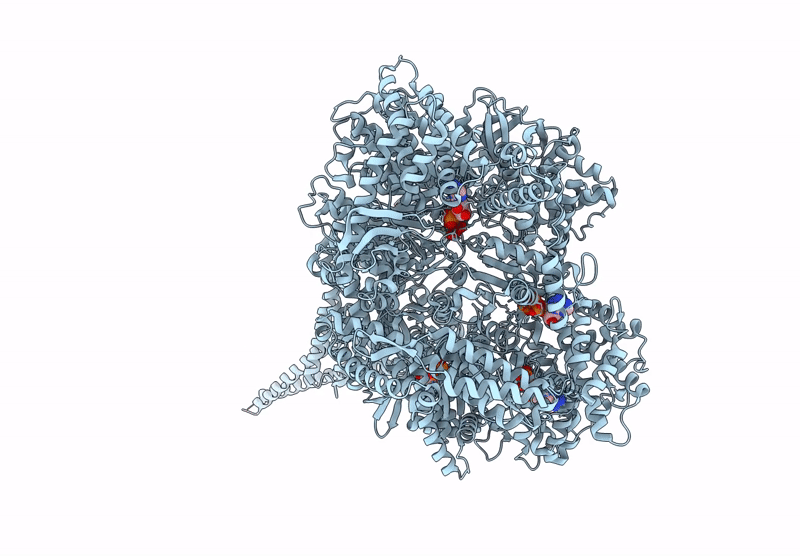 9BMF image