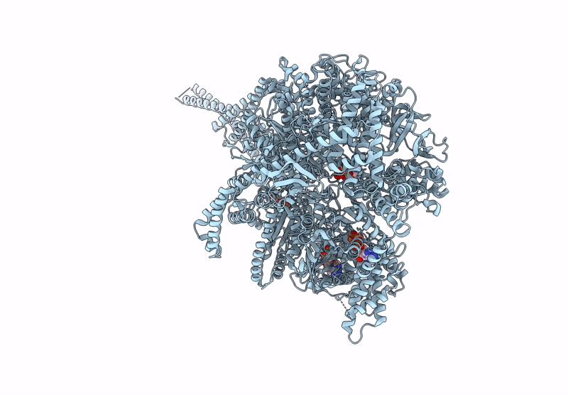 9BMH image