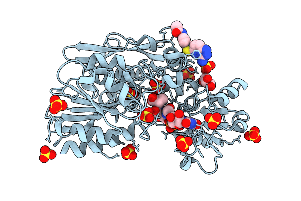 9BN8 image