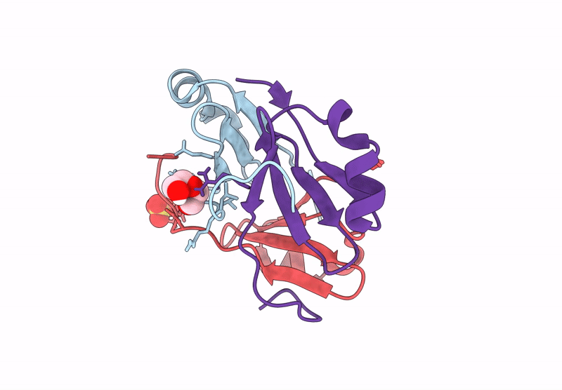 9BNC image