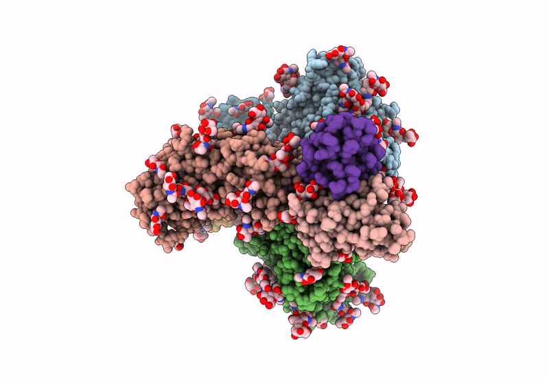 9BNL image