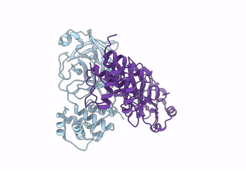 9BNX image