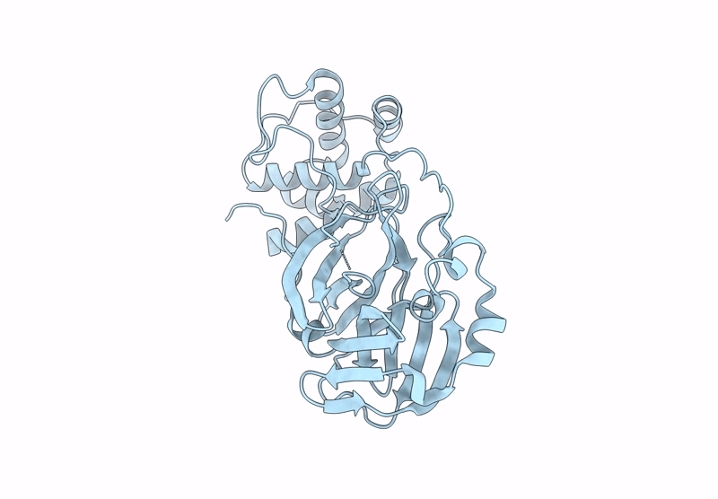 9BNZ image
