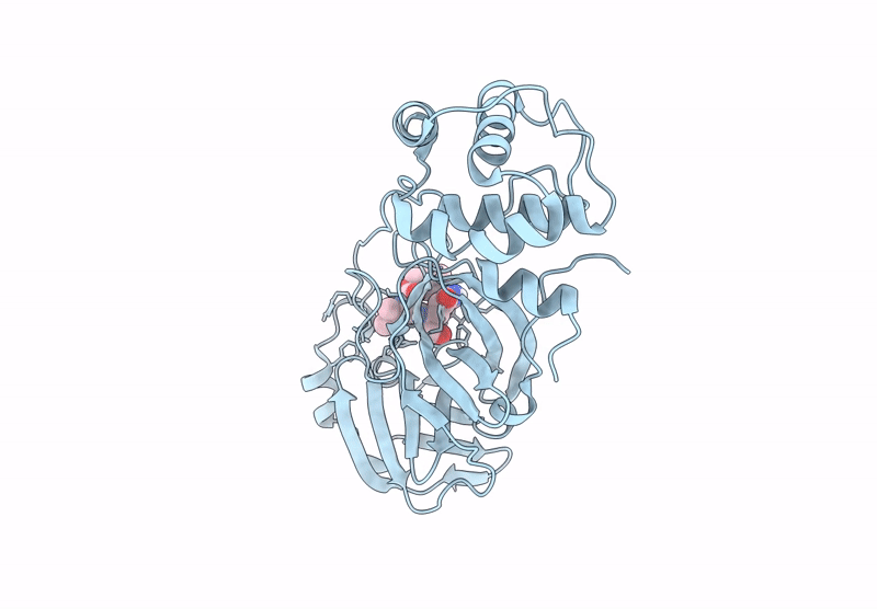 9BOD image