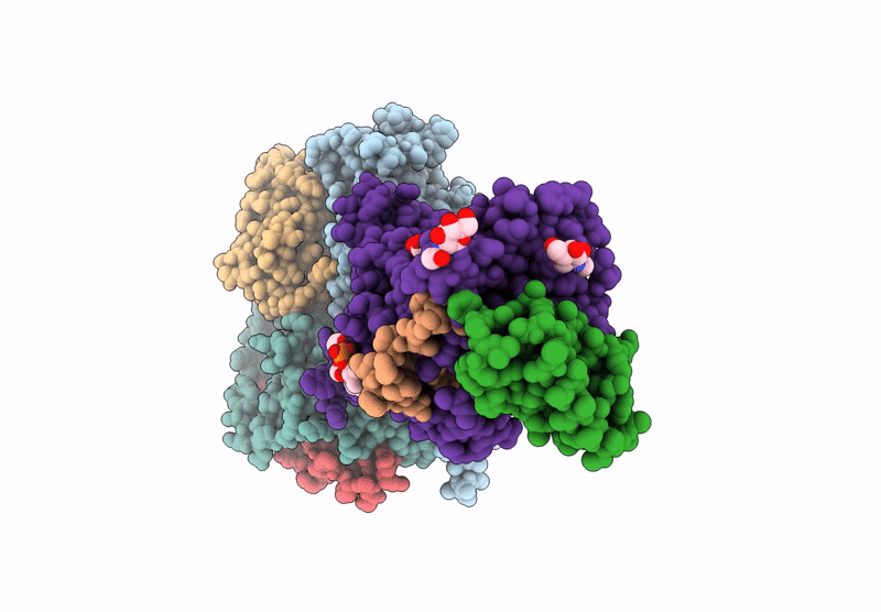 9BP3 image