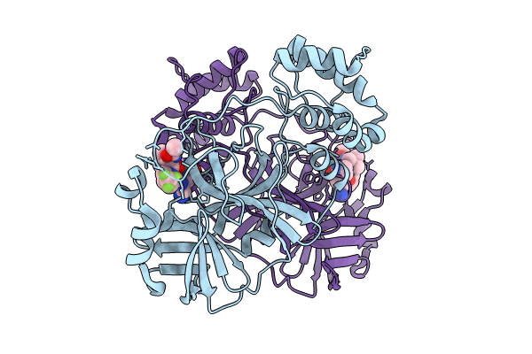 9BPF image
