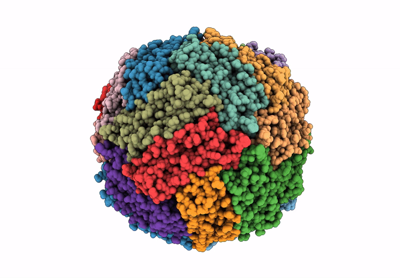 9BPI image