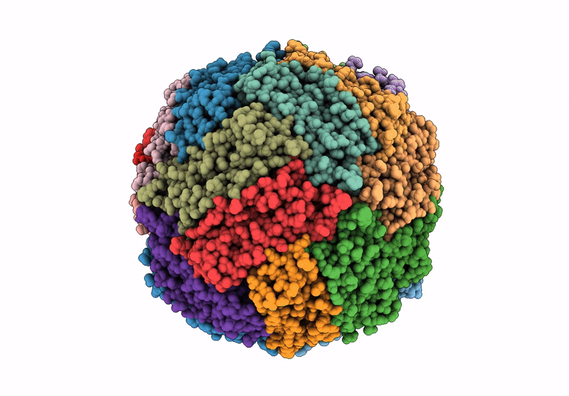 9BPJ image