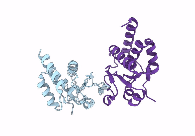 9BPN image