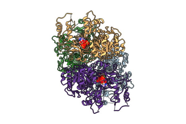 9BQ0 image