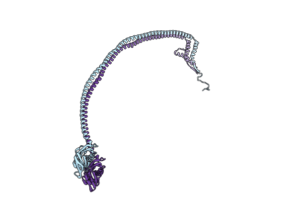 9BQ2 image
