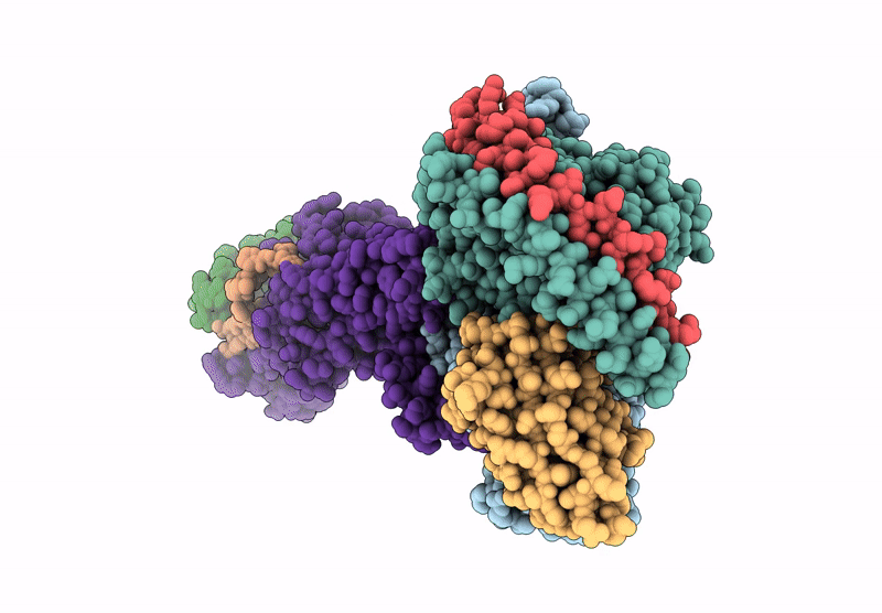 9BQ3 image