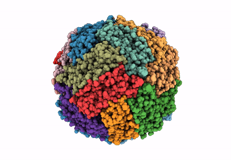 9BQ5 image