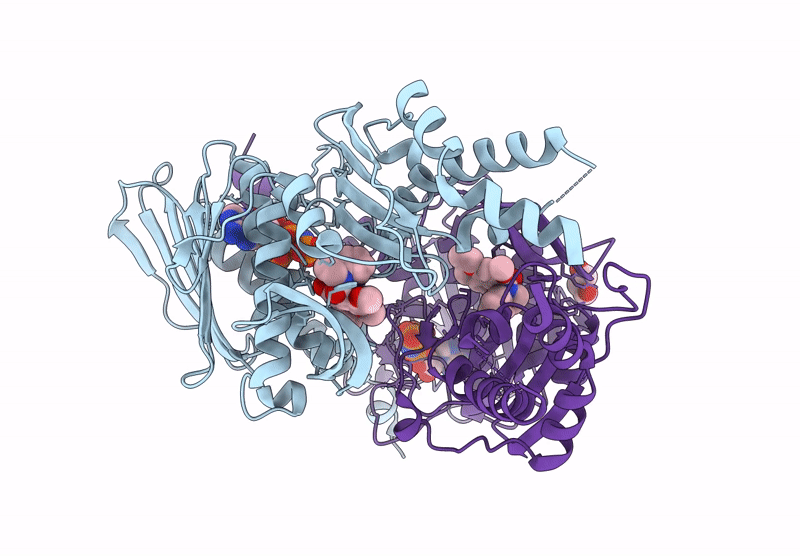9BQ7 image