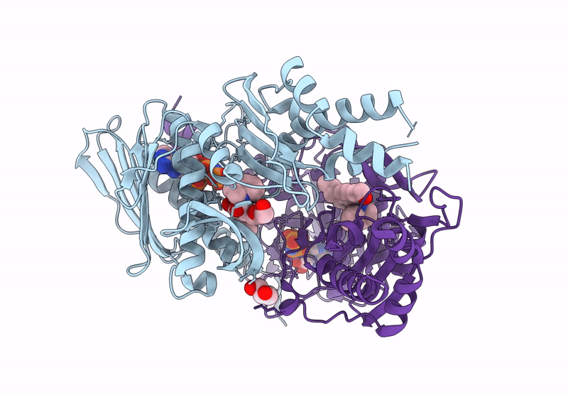 9BQ9 image