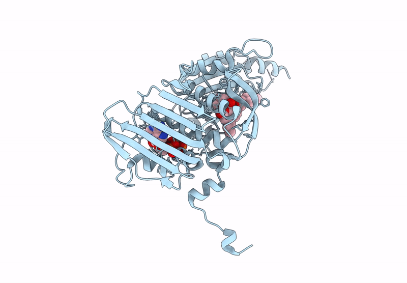 9BQD image