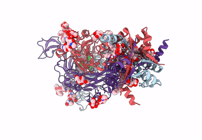9BQI image