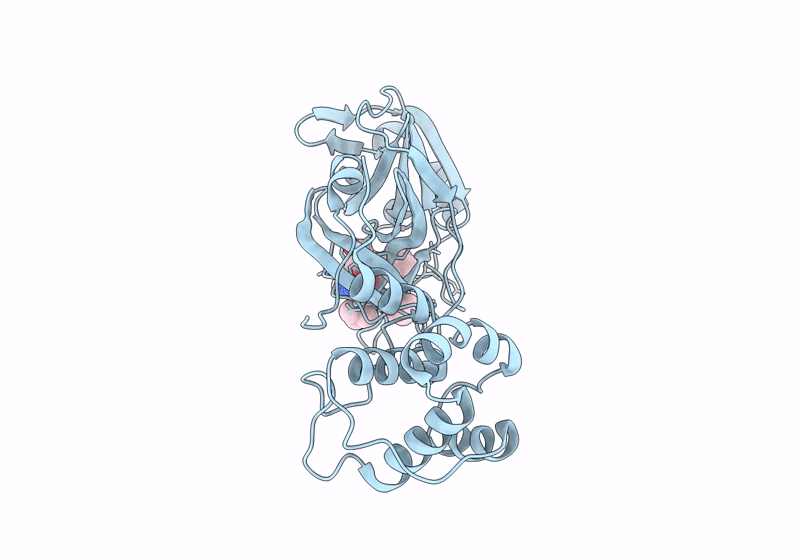 9BQL image