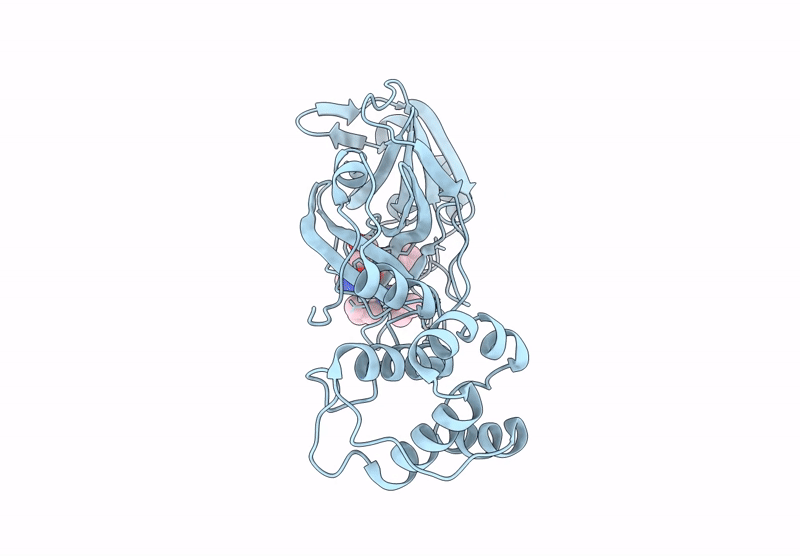 9BQM image