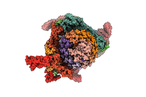 9BRC image