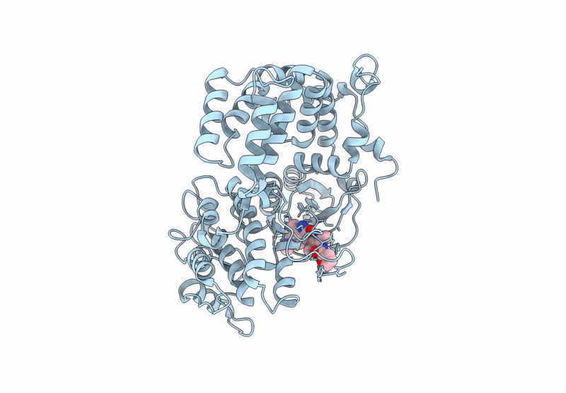9BRG image
