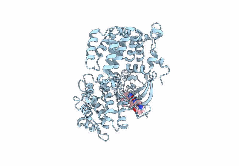 9BRL image
