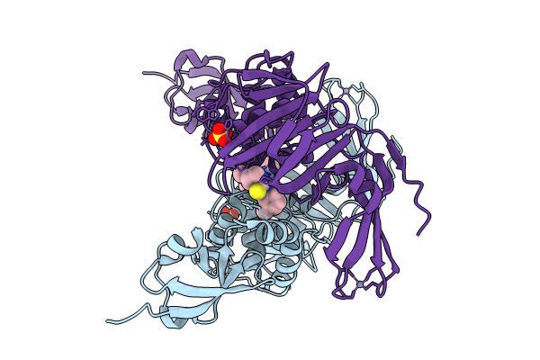 9BRV image